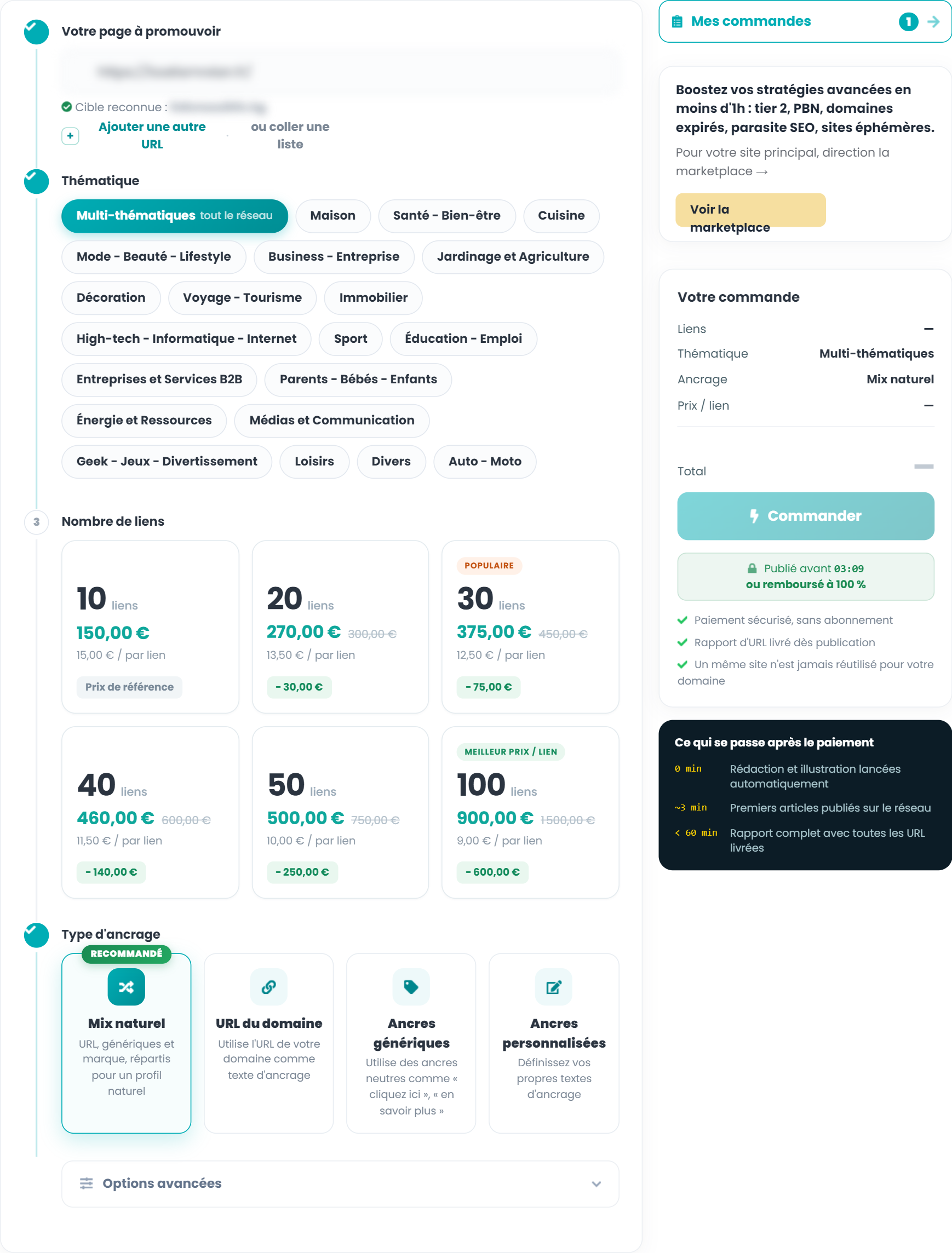 Packs Instant Link de Linkavista : de 10 liens à 150 euros à 100 liens à 900 euros, thématiques et types d'ancrage